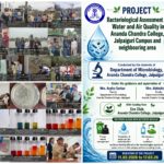 photo-collage.png (1)